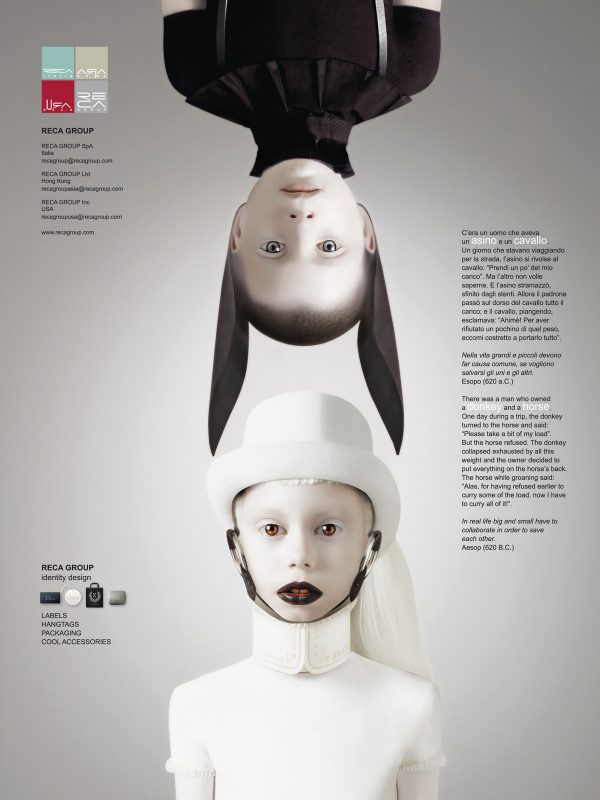 The Donkey And The Horse