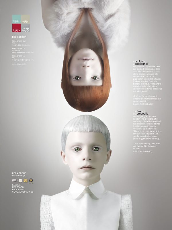 The Fox And The Crocodile